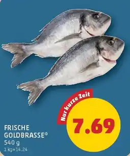 PENNY Frische Goldbrasse Angebot