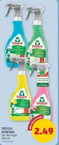 PENNY Frosch reiniger Angebot