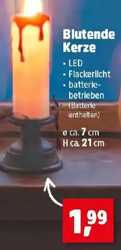 Thomas Philipps Blutende Kerze Angebot