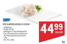 Metro MSC Kammuschelfleisch Angebot