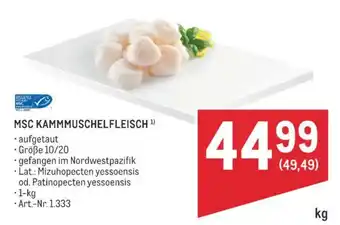 MSC Kammuschelfleisch