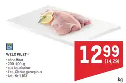 Metro Wels Filet Angebot