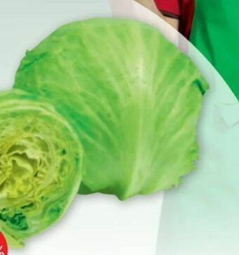 PENNY Eissalat Angebot