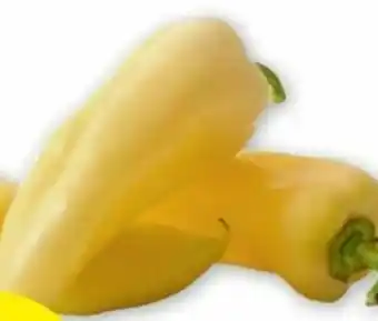 PENNY Spitzpaprika weiß Angebot