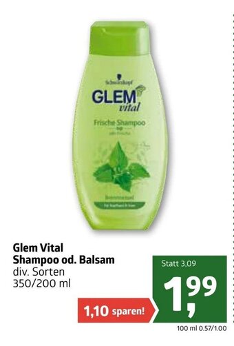 ADEG Glem Vital Shampoo od. Balsam Angebot