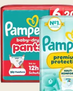 MPreis Pampers Premium Protection Windeln Angebot
