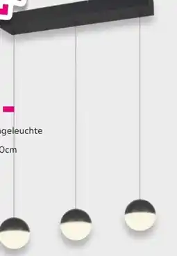 Mömax LED-Hängeleuchte Sestine Angebot