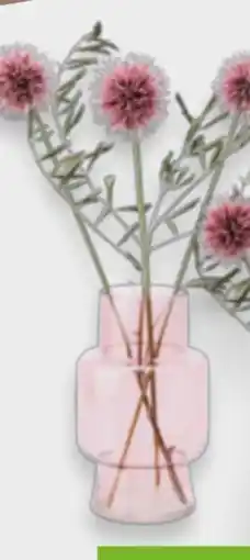 Mömax Vase Monic Angebot