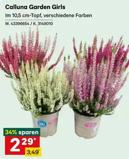Lagerhaus Calluna Garden Girls Angebot