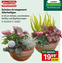 Lagerhaus Schalen-Arrangement Allerheiligen Angebot