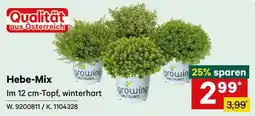 Lagerhaus Hebe-Mix Angebot