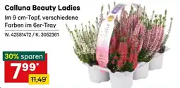 Lagerhaus Calluna Beauty Ladies Angebot