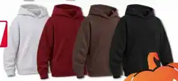 Woolworth Herren Hoodies Angebot