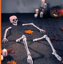 Woolworth Halloween Skelett Steck-Set Angebot