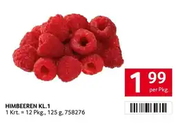 Transgourmet Himbeeren Kl.1 Angebot