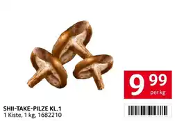 Transgourmet Shii-Take-Pilze Kl.1 Angebot