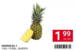 Transgourmet ANANAS KL.1 Angebot