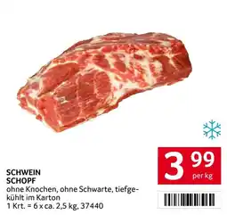 Transgourmet Schwein Schopf Angebot