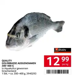 Transgourmet Quality Goldbrasse Ausgenommen Angebot