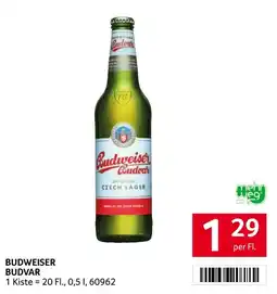 Transgourmet Budweiser Budvar Angebot