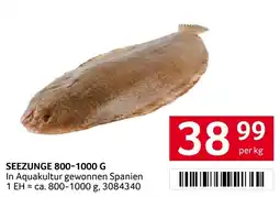 Transgourmet Seezunge Angebot