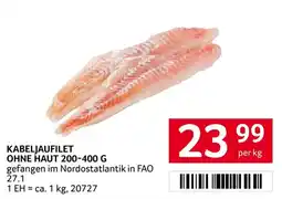 Transgourmet Kabeljaufilet ohne Haut Angebot