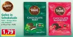 Norma Wavel Gelee in Schokolade Angebot