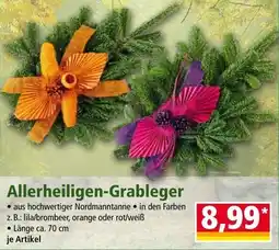 Norma Allerheiligen-Grableger Angebot