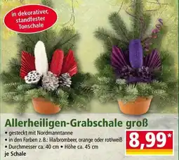 Norma Allerheiligen-Grabschale groß Angebot