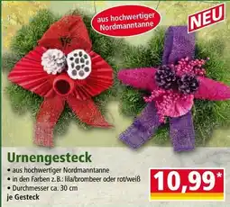 Norma Urnengesteck Angebot