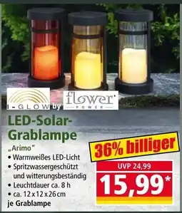 Norma LED-Solar-Grablampe "Arimo" by I-GLOW by flower POWER Angebot