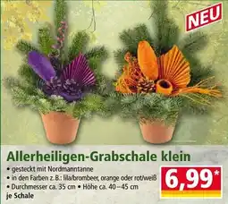 Norma Allerheiligen-Grabschale klein Angebot
