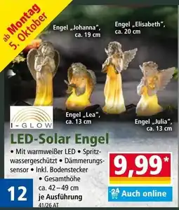 Norma LED-Solar Engel Angebot