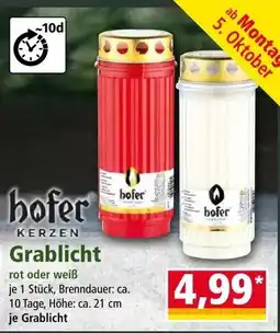 Norma hofer Grablicht Angebot