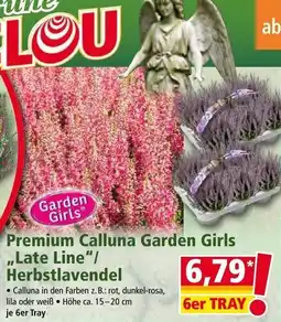 Norma Premium Calluna Garden Girls Angebot