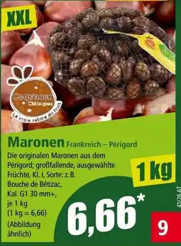 Norma Maronen Frankreich – Périgord Angebot
