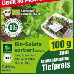 Norma Bio-Salate sortiert Angebot