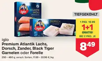 Iglo Premium Atlantik Lachs, Dorsch, Zander, Black Tiger Garnelen oder Forelle