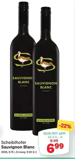 MPreis Scheiblhofer Sauvignon Blanc Angebot