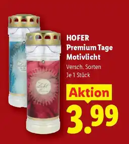 Lidl HOFER Premium Tage Motivlicht Angebot