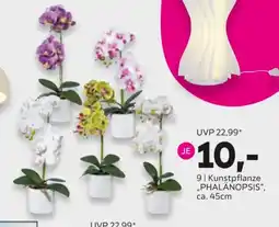 Mömax Kunstpflanze "PHALÄNOPSIS" Angebot