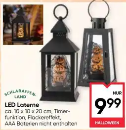 Maximarkt Schlaraffen-Land LED Laterne Angebot