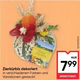 Maximarkt Zierkürbis dekoriert Angebot