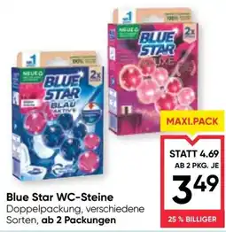 Maximarkt Blue Star WC-Steine Angebot