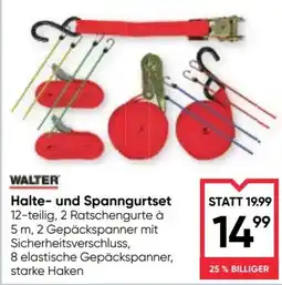 Maximarkt WALTER Halte- und Spanngurtset Angebot