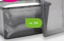 Mömax Box Leo Angebot