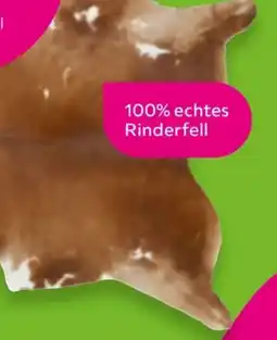 Mömax Modern Living Rinderfell Heino Angebot
