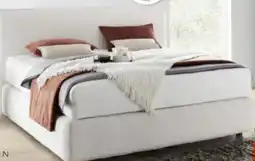 XXXLutz Ruf-Betten Boxspringbett Angebot