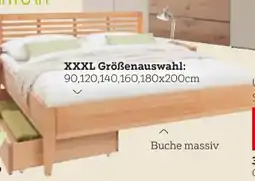 XXXLutz Linea Natura Bett Angebot