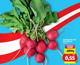 Hofer Radischen aus Österreich Angebot